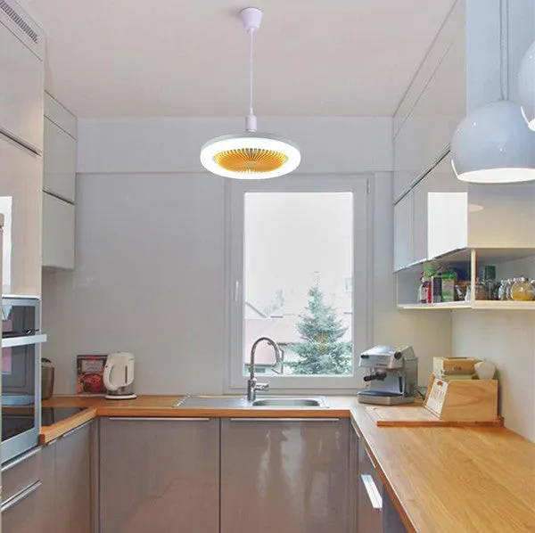 Modern LED Ceiling Fan